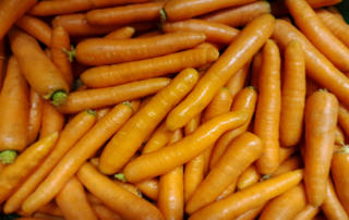 Karotten, Möhren, Rüble